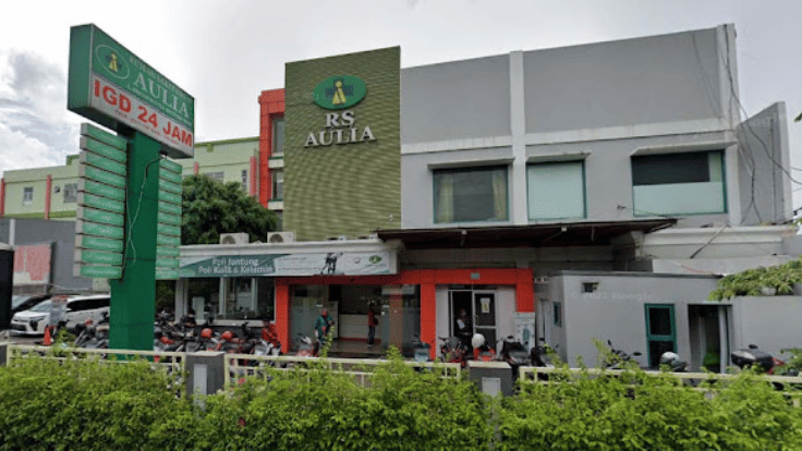 RSU Aulia